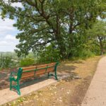 905 S Woodlawn Ave, St. Paul (29) 905 S Woodlawn Ave, St. Paul (29)