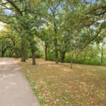 905 S Woodlawn Ave, St. Paul (31) 905 S Woodlawn Ave, St. Paul (31)